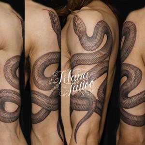 蛇の刺青作品画像
