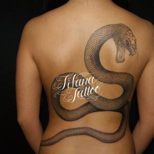 蛇の刺青作品