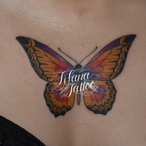 蝶の刺青作品