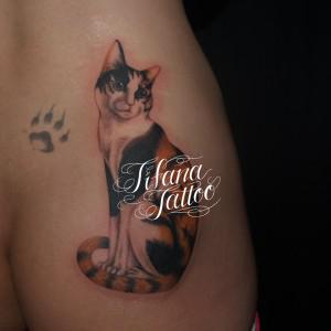 猫の刺青作品