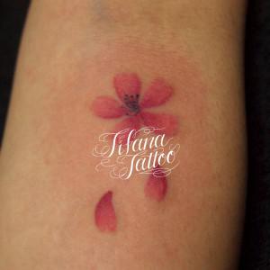 桜のタトゥー|刺青作品