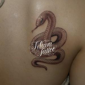 蛇のタトゥーデザイン Tifana Tattoo 東京 渋谷のタトゥースタジオ