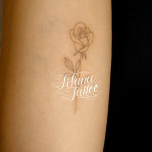 薔薇のラインアート・タトゥー
