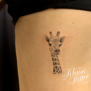 動物 モチーフ別 Tifana Tattoo 東京 渋谷のタトゥースタジオ