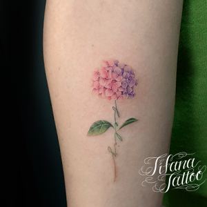 レタリングと花のタトゥー ギャラリー Tifana Tattoo 東京 渋谷のタトゥースタジオ レタリングと花のタトゥー ギャラリー Tifana Tattoo 東京 渋谷のタトゥースタジオ