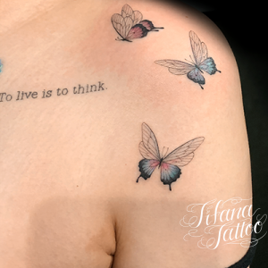 蝶のタトゥーデザイン Tifana Tattoo 東京 渋谷のタトゥースタジオ