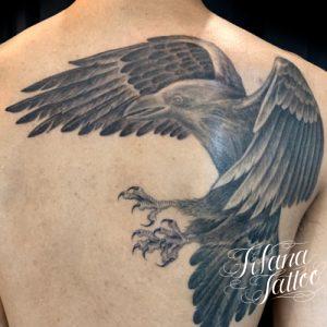 カラスのタトゥーデザイン Tifana Tattoo 東京 渋谷のタトゥースタジオ
