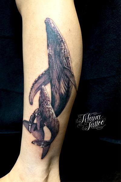 鯨の親子のタトゥー ギャラリー Tifana Tattoo 東京 渋谷のタトゥースタジオ