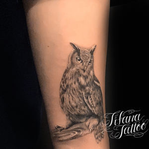 フクロウのタトゥーデザイン Tifana Tattoo 東京 渋谷のタトゥースタジオ フクロウのタトゥーデザイン Tifana Tattoo 東京 渋谷のタトゥースタジオ