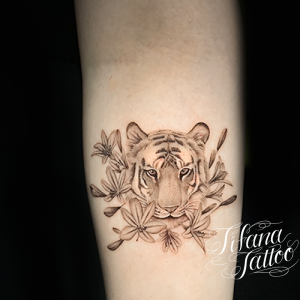 虎 トラのタトゥーデザイン Tifana Tattoo 東京 渋谷のタトゥースタジオ 虎 トラのタトゥーデザイン Tifana Tattoo 東京 渋谷のタトゥースタジオ