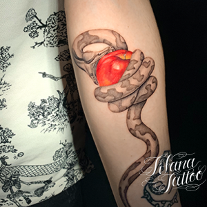 爬虫類 モチーフ別 Tifana Tattoo 東京 渋谷のタトゥースタジオ 爬虫類 モチーフ別 Tifana Tattoo 東京 渋谷のタトゥースタジオ