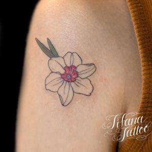ワンポイント サイズ別 Tifana Tattoo 東京 渋谷のタトゥースタジオ ワンポイント サイズ別 Tifana Tattoo 東京 渋谷のタトゥースタジオ