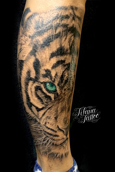 虎のタトゥー ギャラリー Tifana Tattoo 東京 渋谷のタトゥースタジオ