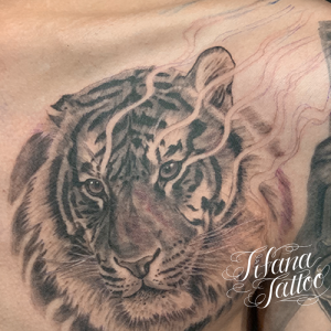虎 トラのタトゥーデザイン Tifana Tattoo 東京 渋谷のタトゥースタジオ 虎 トラのタトゥーデザイン Tifana Tattoo 東京 渋谷のタトゥースタジオ