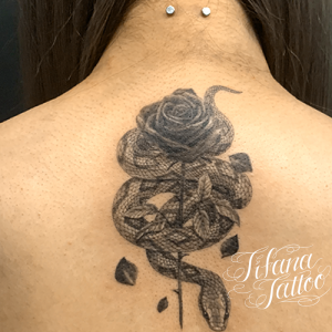 背中 部位別 Tifana Tattoo 東京 渋谷のタトゥースタジオ 背中 部位別 Tifana Tattoo 東京 渋谷のタトゥースタジオ