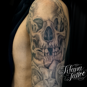 スカルのタトゥーデザイン Tifana Tattoo 東京 渋谷のタトゥースタジオ スカルのタトゥーデザイン Tifana Tattoo 東京 渋谷のタトゥースタジオ