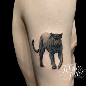 動物 モチーフ別 Tifana Tattoo 東京 渋谷のタトゥースタジオ