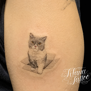 動物 モチーフ別 Tifana Tattoo 東京 渋谷のタトゥースタジオ