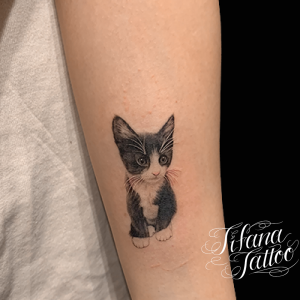 動物 モチーフ別 Tifana Tattoo 東京 渋谷のタトゥースタジオ