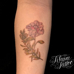 植物 モチーフ別 Tifana Tattoo 東京 渋谷のタトゥースタジオ 植物 モチーフ別 Tifana Tattoo 東京 渋谷のタトゥースタジオ