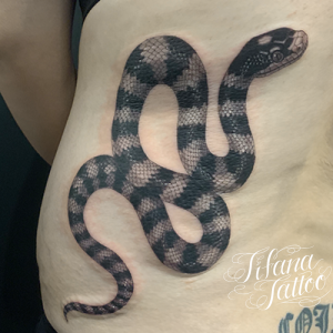 蛇のファインライン タトゥー