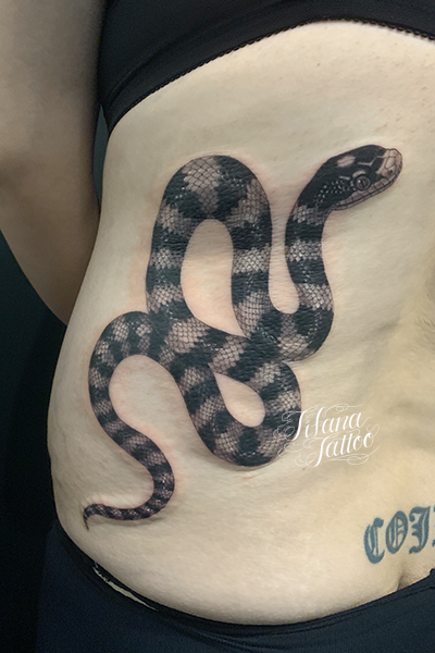 蛇のファインライン タトゥー ギャラリー Tifana Tattoo 東京 渋谷のタトゥースタジオ