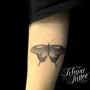 蝶のタトゥーデザイン Tifana Tattoo 東京 渋谷のタトゥースタジオ