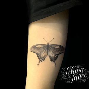 蝶のタトゥーデザイン Tifana Tattoo 東京 渋谷のタトゥースタジオ 蝶のタトゥーデザイン Tifana Tattoo 東京 渋谷のタトゥースタジオ