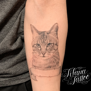 猫のタトゥーデザイン Tifana Tattoo 東京 渋谷のタトゥースタジオ 猫のタトゥーデザイン Tifana Tattoo 東京 渋谷のタトゥースタジオ