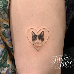 猫のタトゥーデザイン Tifana Tattoo 東京 渋谷のタトゥースタジオ
