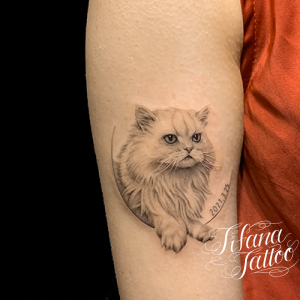 動物 モチーフ別 Tifana Tattoo 東京 渋谷のタトゥースタジオ 動物 モチーフ別 Tifana Tattoo 東京 渋谷のタトゥースタジオ