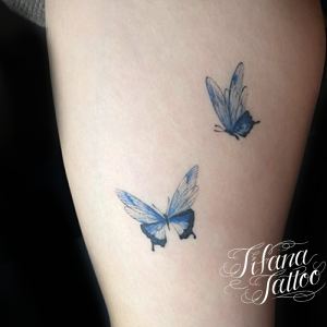 蝶のタトゥーデザイン Tifana Tattoo 東京 渋谷のタトゥースタジオ 蝶のタトゥーデザイン Tifana Tattoo 東京 渋谷のタトゥースタジオ