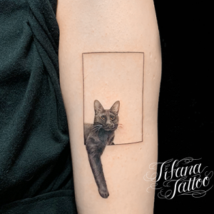 猫のタトゥーデザイン Tifana Tattoo 東京 渋谷のタトゥースタジオ 猫のタトゥーデザイン Tifana Tattoo 東京 渋谷のタトゥースタジオ