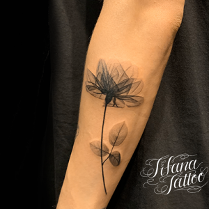 植物 モチーフ別 Tifana Tattoo 東京 渋谷のタトゥースタジオ 植物 モチーフ別 Tifana Tattoo 東京 渋谷のタトゥースタジオ