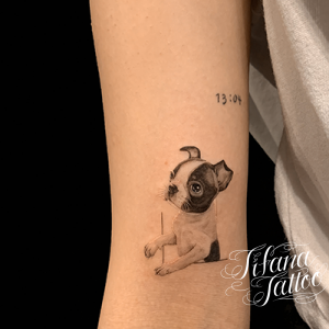 犬のタトゥーデザイン Tifana Tattoo 東京 渋谷のタトゥースタジオ 犬のタトゥーデザイン Tifana Tattoo 東京 渋谷のタトゥースタジオ