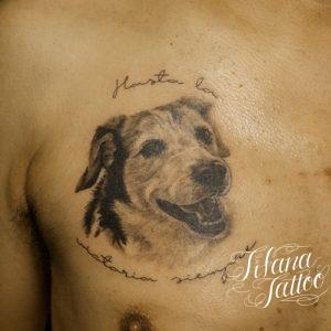 犬のタトゥーデザイン Tifana Tattoo 東京 渋谷のタトゥースタジオ 犬のタトゥーデザイン Tifana Tattoo 東京 渋谷のタトゥースタジオ
