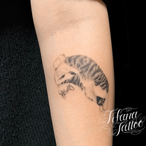 猫|ネコのファインライン・タトゥー