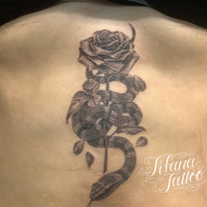蛇|薔薇のタトゥー