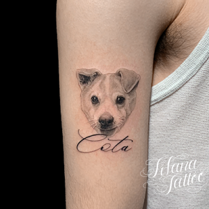 愛犬のファインライン・タトゥー