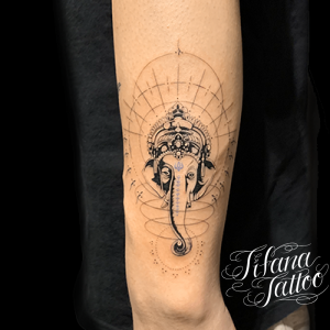 7royqpjbdu1zvm 7royqpjbdu1zvm