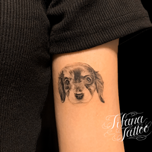 犬のタトゥーデザイン Tifana Tattoo 東京 渋谷のタトゥースタジオ 犬のタトゥーデザイン Tifana Tattoo 東京 渋谷のタトゥースタジオ