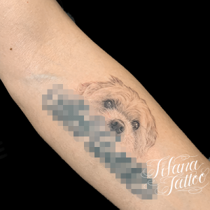 犬のタトゥーデザイン Tifana Tattoo 東京 渋谷のタトゥースタジオ 犬のタトゥーデザイン Tifana Tattoo 東京 渋谷のタトゥースタジオ