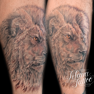 ライオンのタトゥーデザイン Tifana Tattoo 東京 渋谷のタトゥースタジオ ライオンのタトゥーデザイン Tifana Tattoo 東京 渋谷のタトゥースタジオ