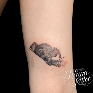 犬のタトゥーデザイン Tifana Tattoo 東京 渋谷のタトゥースタジオ 犬のタトゥーデザイン Tifana Tattoo 東京 渋谷のタトゥースタジオ