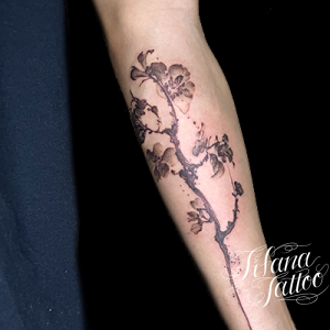 和柄 スタイル別 Tifana Tattoo 東京 渋谷のタトゥースタジオ 和柄 スタイル別 Tifana Tattoo 東京 渋谷のタトゥースタジオ