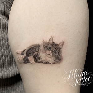 猫|ネコのファインライン・タトゥー