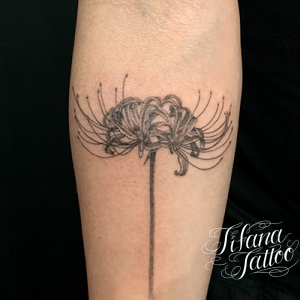 植物 モチーフ別 Tifana Tattoo 東京 渋谷のタトゥースタジオ 植物 モチーフ別 Tifana Tattoo 東京 渋谷のタトゥースタジオ