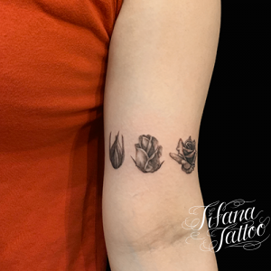 薔薇のタトゥーデザイン Tifana Tattoo 東京 渋谷のタトゥースタジオ 薔薇のタトゥーデザイン Tifana Tattoo 東京 渋谷のタトゥースタジオ