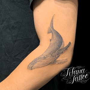 鯨のファインライン・タトゥー