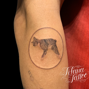 愛猫のファインライン・タトゥー